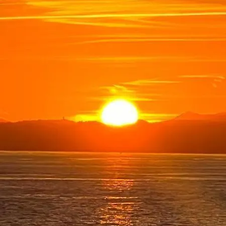 Apartment Le Coq Florentina - Ac - Wi-fi - Seafront